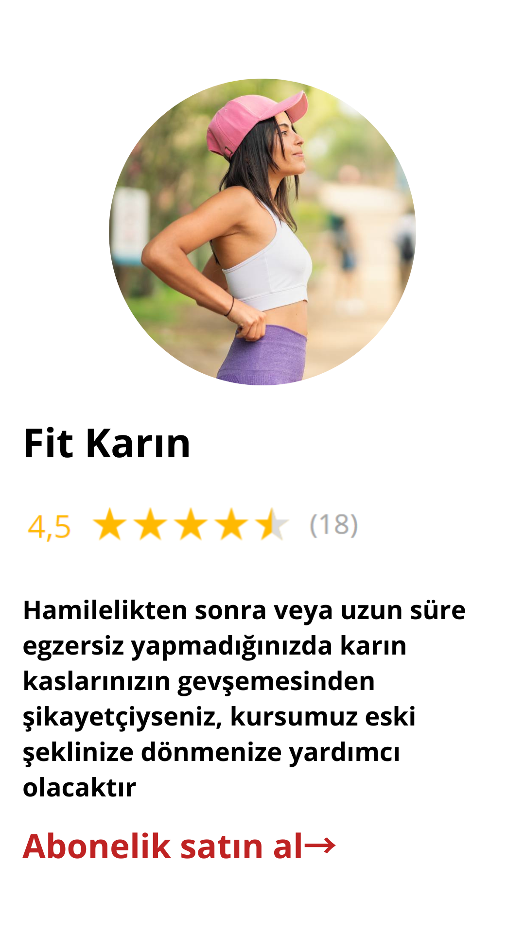 Fit Karın